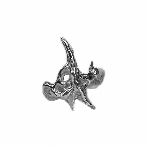 Metal Lustrous Ring