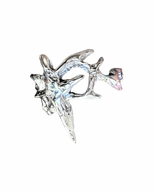 SAINT Ring